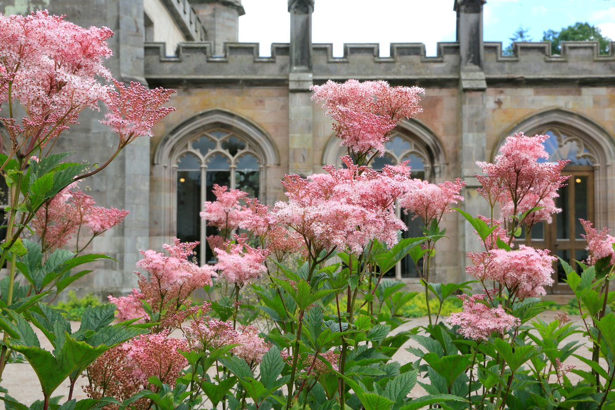 Gardeners ahoy, we are hiring. Please visit our website lowthercastle.org/job/gardener-3/ for more details and share with any horticulturalists you think may be looking for a new &amp; exciting position. Thank you