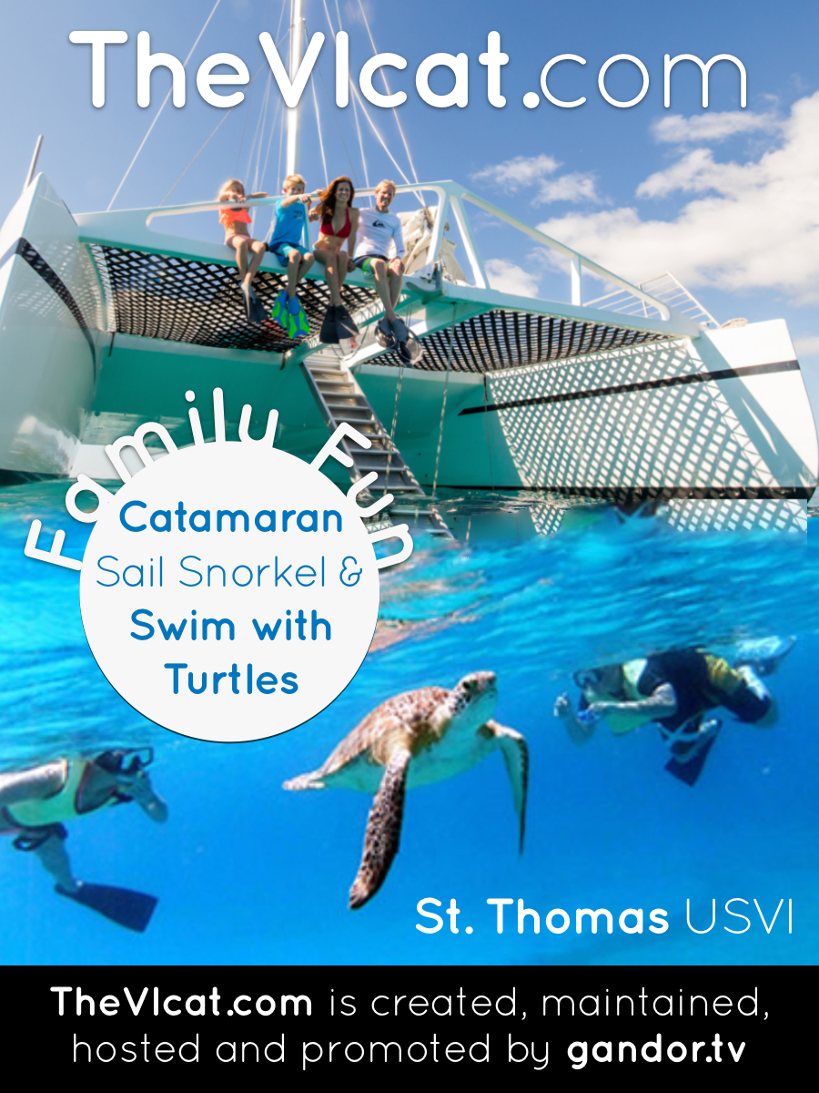 gandor.tv tweet media