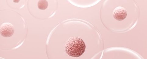 Plasma regenerativo para endometrio y ovarios

omniprex.com/plasma-regener…