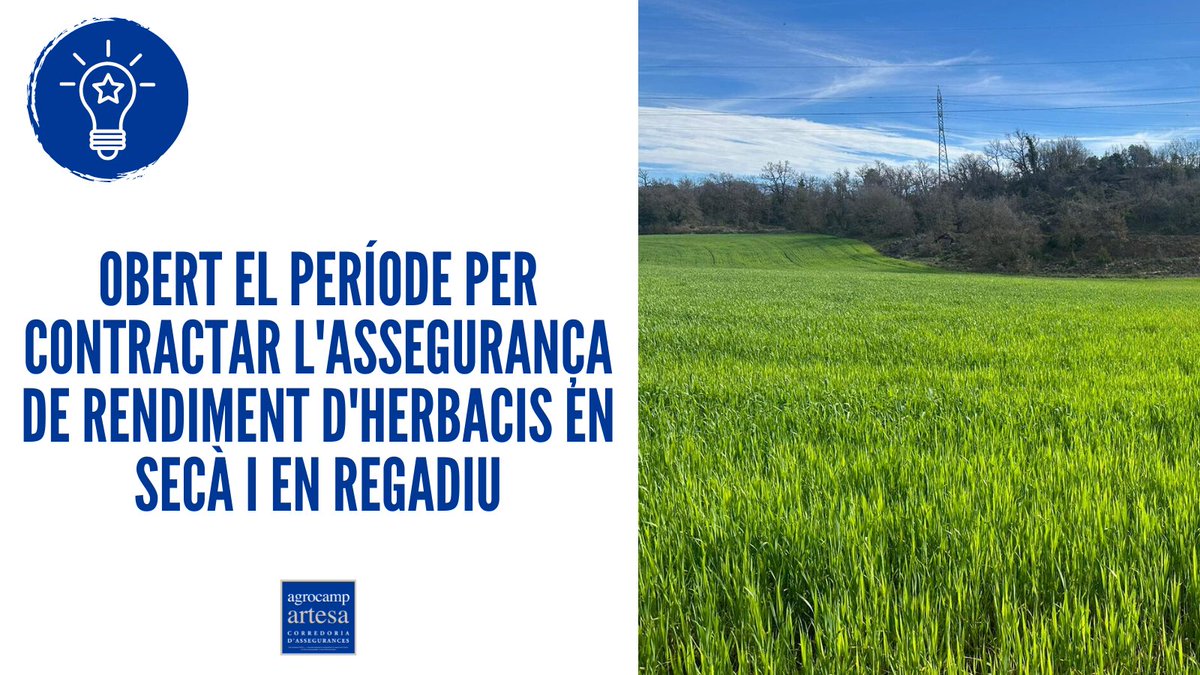 CoopArtesa's tweet image. 💡 Ja podeu assegurar els vostres #conreus #herbacis en #secà (per gelada, sequera i fauna) i en #regadiu (fauna).

Consulteu els terminis a l'apartat de notícies de la nostra web👉bit.ly/3iEDBre

#agroseguro #assegurances