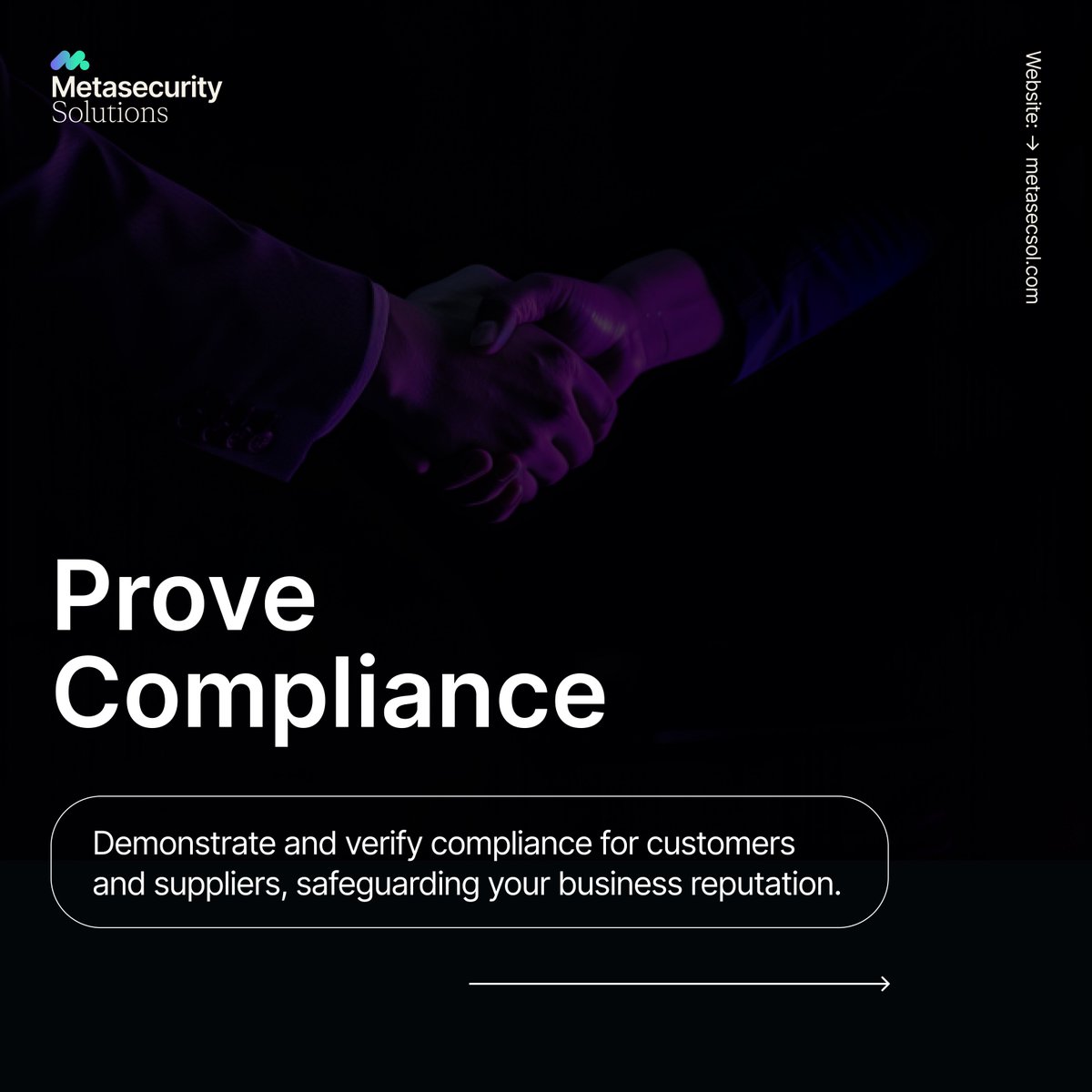 Metasecurity Solutions tweet media