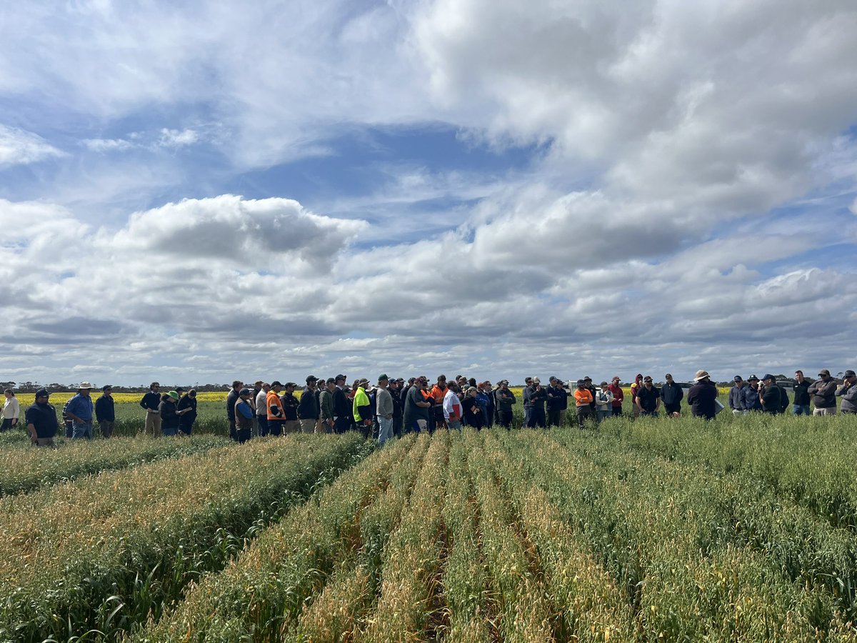 Georgia Trainor tweet media