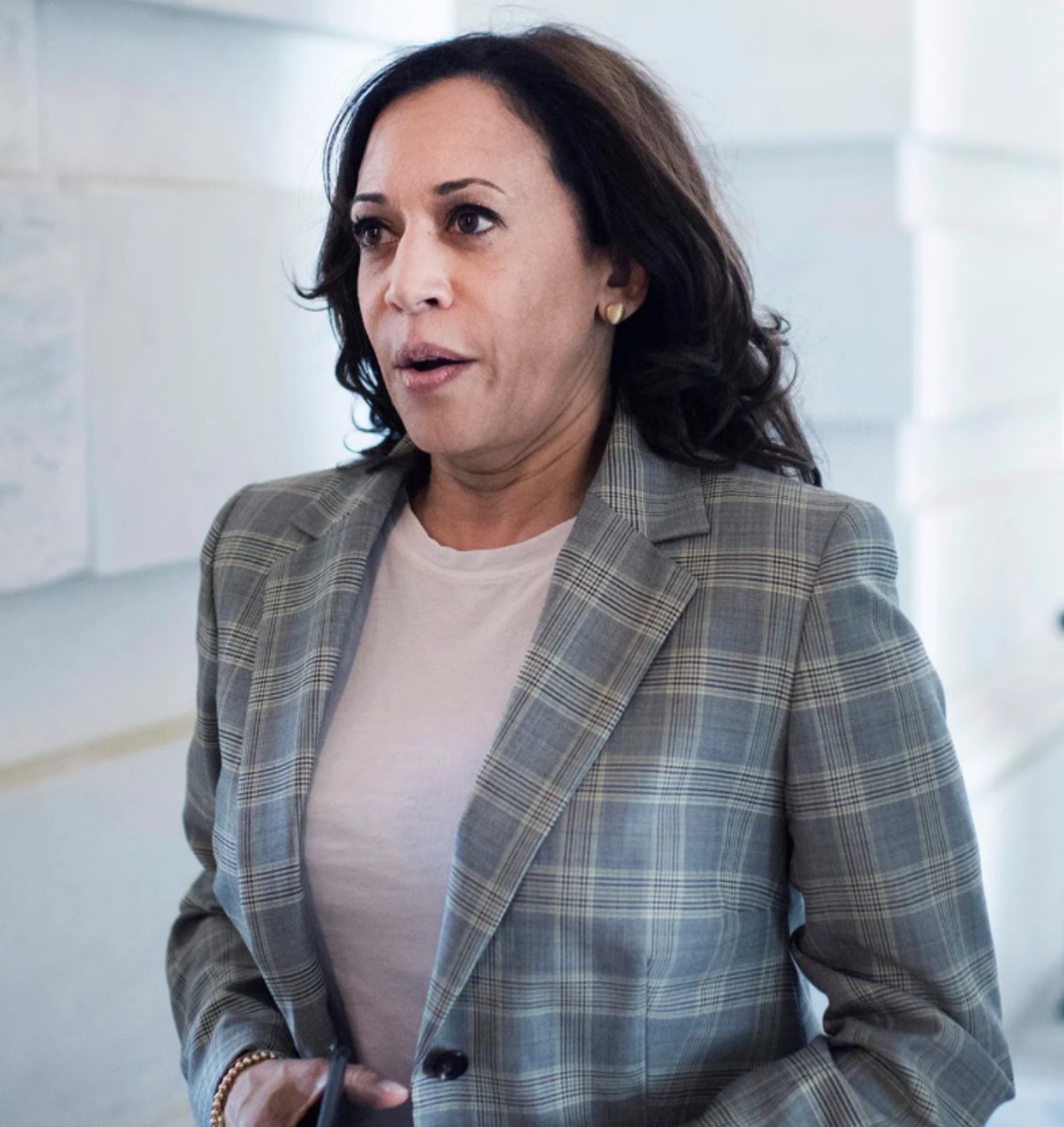 MAGA Voice tweet media