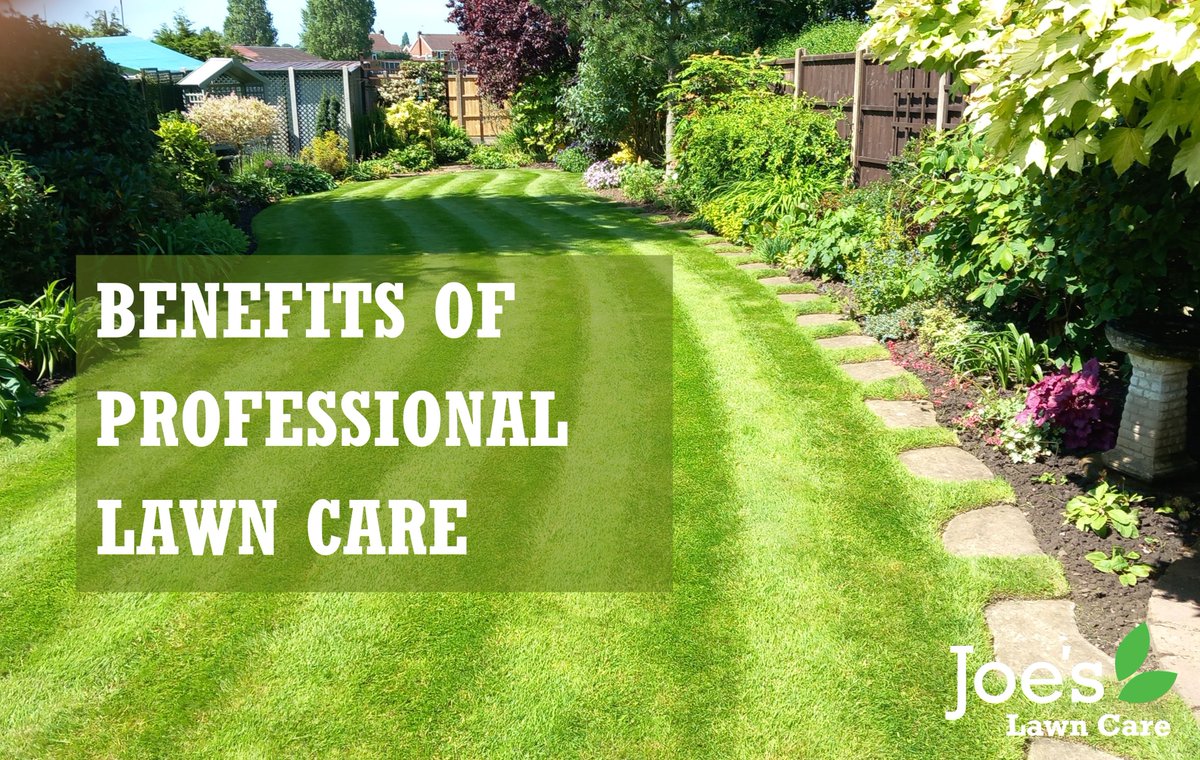 Joe's Lawn Care 🌱 tweet media