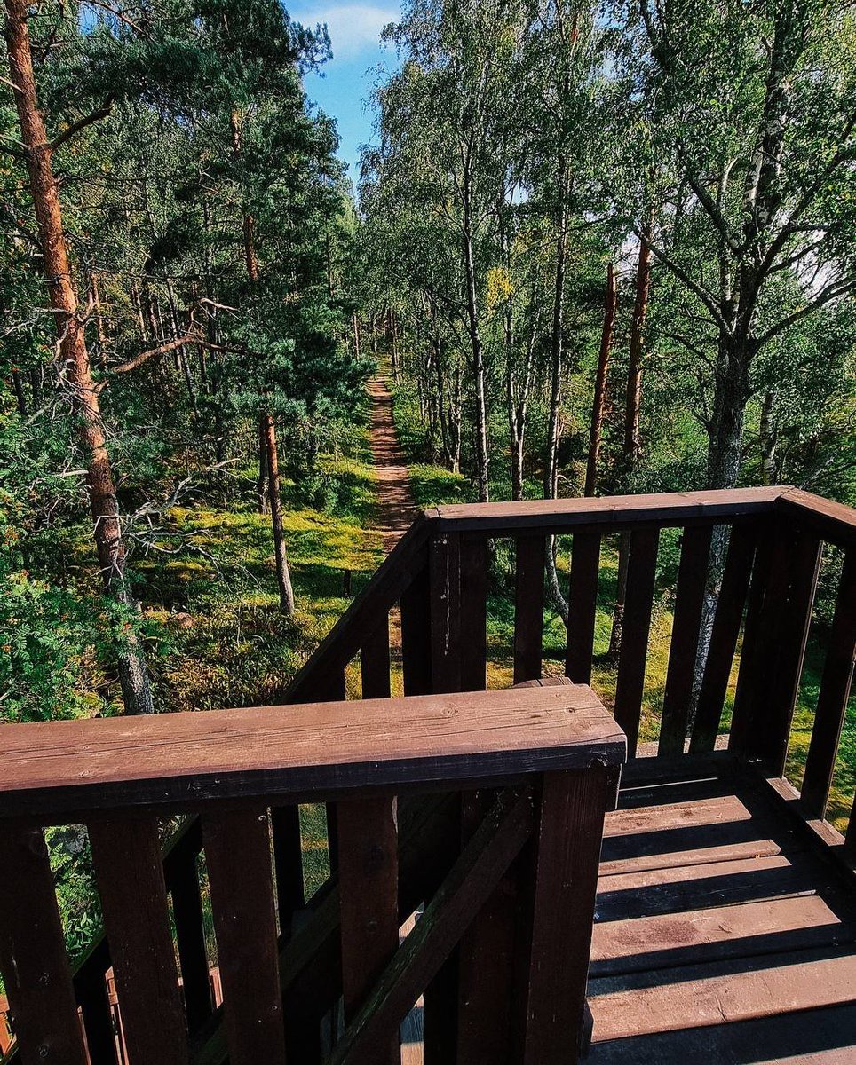 Wild_SPb's tweet photo. Живописный заказник Раковые озёра 
Там существует два маршрута:

Природный — 9 км с орнитологической вышкой на пути

Исторический — 2 км по лесу.
Вход 150р

Фото: the.diaryofjane https://t.co/kRnJ4U7yQV