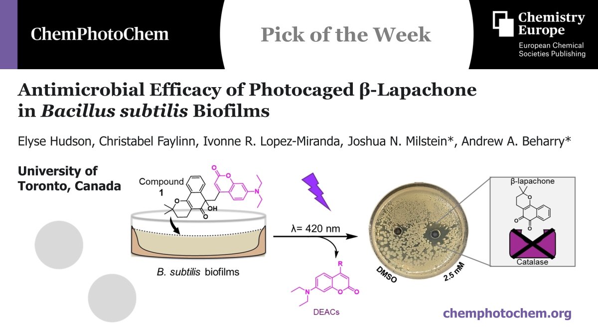 Chemistry Europe (@chemeurope) on Twitter photo Our Pick of the Week, out #OpenAccess in <a href="/ChemPhotoChem/">ChemPhotoChem</a> by <a href="/ElyseHudsonChem/">Elyse Hudson</a>, <a href="/IvonneRLopezMir/">Ivonne Rebeca Lopez-Miranda</a> <a href="/BeharryAndrew/">Andrew Beharry</a> and team at <a href="/BeharryL/">@beharrylab</a> in cooperation with @MilsteinLab:
"Antimicrobial Efficacy of Photocaged β-Lapachone in Bacillus subtilis Biofilms" š¦ š”š
ow.ly/3tY350TlO3s Our Pick of the Week, out #OpenAccess in <a href="/ChemPhotoChem/">ChemPhotoChem</a> by <a href="/ElyseHudsonChem/">Elyse Hudson</a>, <a href="/IvonneRLopezMir/">Ivonne Rebeca Lopez-Miranda</a> <a href="/BeharryAndrew/">Andrew Beharry</a> and team at <a href="/BeharryL/">@beharrylab</a> in cooperation with @MilsteinLab:
"Antimicrobial Efficacy of Photocaged β-Lapachone in Bacillus subtilis Biofilms" š¦ š”š
ow.ly/3tY350TlO3s