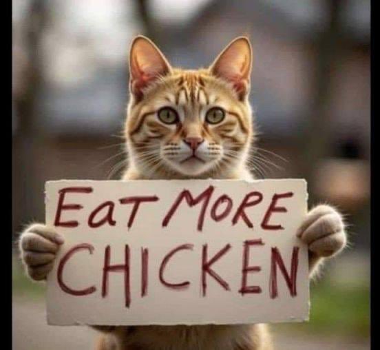 RobynAMilne's tweet image. A desperate plea from Springfield.