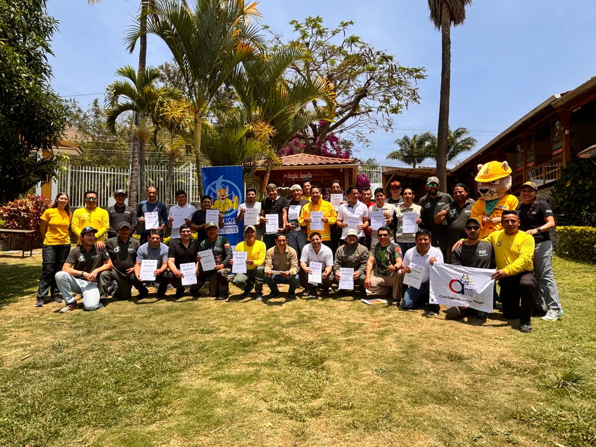 Pau Costa Foundation tweet media