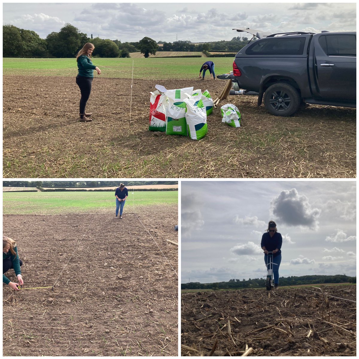 Kingscrops's tweet image. In #Eccleshall, technical advisor, Will Pratt was joined by sustainable farming advisor, Lexie Baxter and @Frontierag agronomist, Ellie Edwards, to establish the specialist crop plots at the 3D Thinking trial site in preparation for the open day in June 2025.