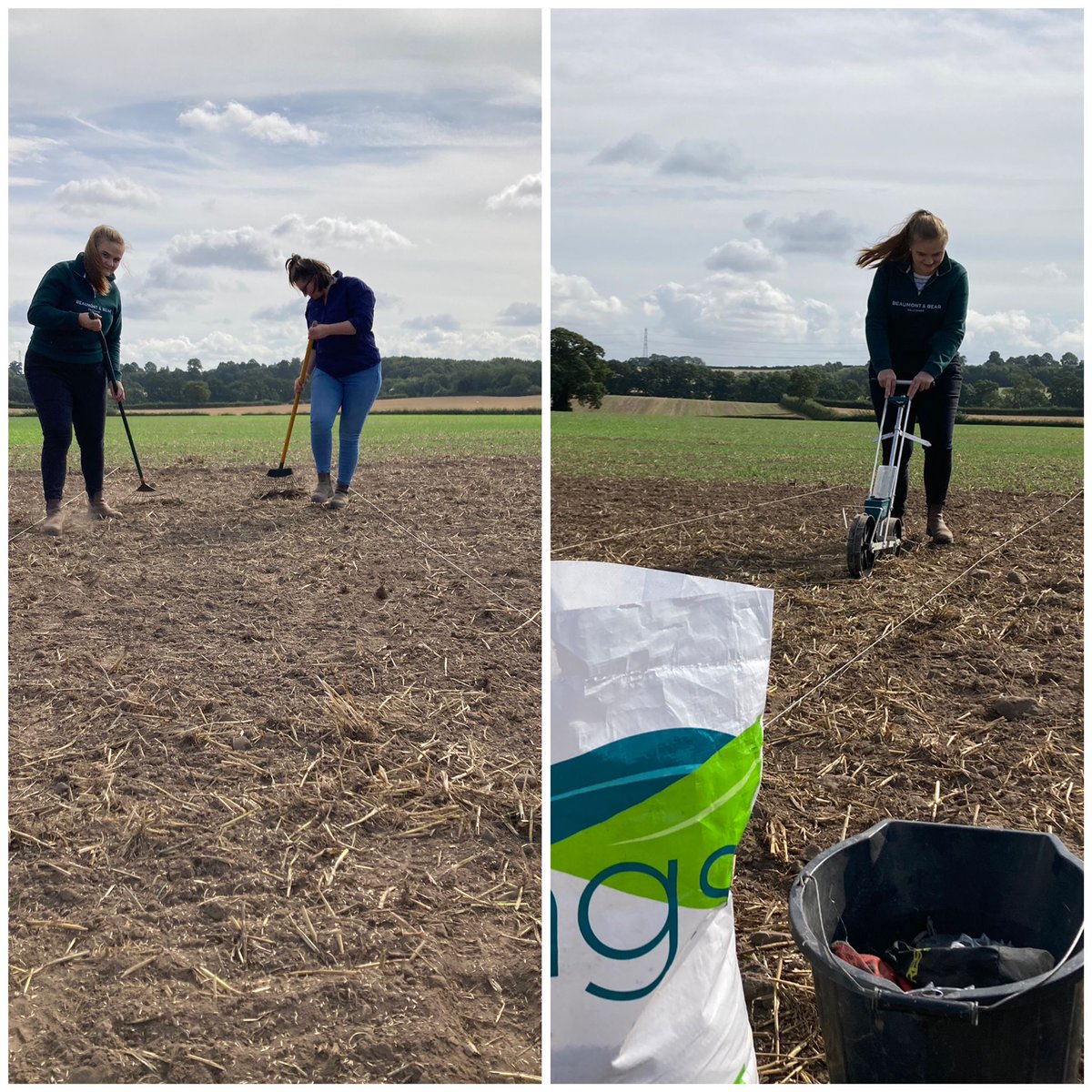 Kingscrops's tweet image. In #Eccleshall, technical advisor, Will Pratt was joined by sustainable farming advisor, Lexie Baxter and @Frontierag agronomist, Ellie Edwards, to establish the specialist crop plots at the 3D Thinking trial site in preparation for the open day in June 2025.
