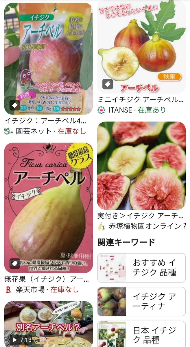 vso_osv's tweet photo. 備忘録 無花果 #イチジク
9月12日(木)購入で 34品種41苗
34.#ガルガン
33.#シュクレット
32.#ゼブラスイート
31.#ヌアールドカロン
30. #アーチペル https://t.co/2KEfumiwT0
