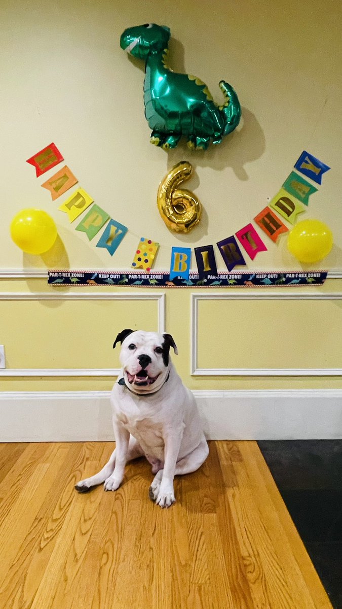Happy 6th Birthday to my big boy  🥰🥳