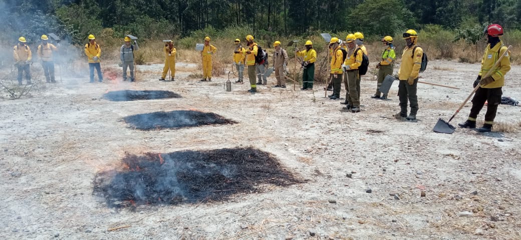 Pau Costa Foundation tweet media