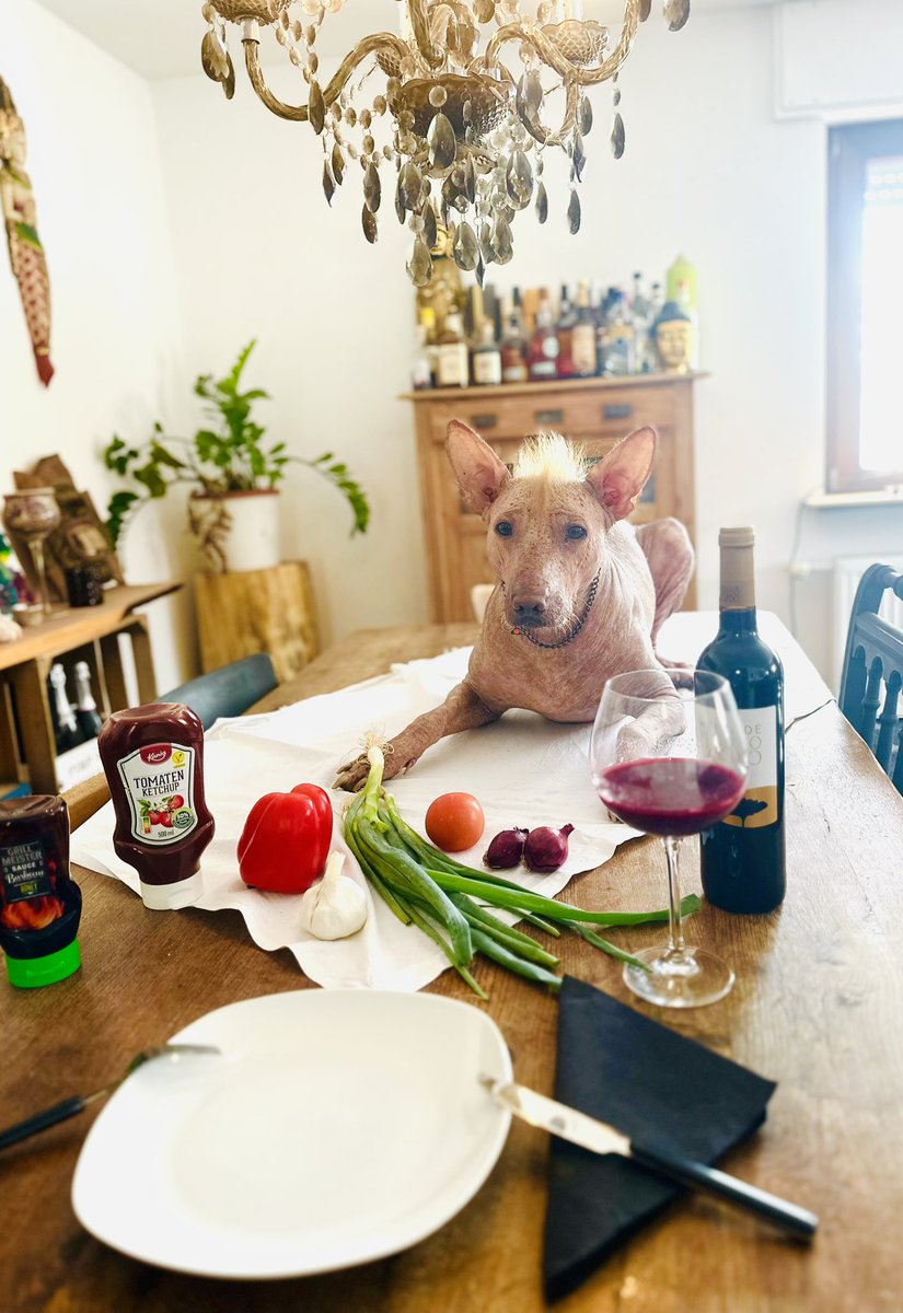 donyalasch's tweet image. Vielen Dank an Donald J. Trump für den tollen Rezept Vorschlag! 

#Trump2024 #Trump #TrumpIsWeird