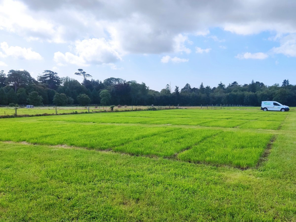 NutriSTORM tweet media