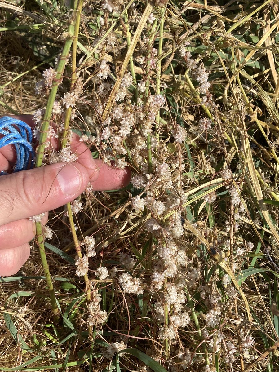 Emmanuel BONNIN tweet media