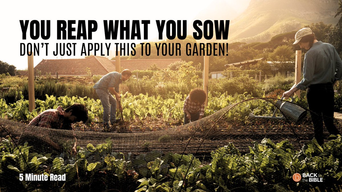 BacktotheBible's tweet image. 👩‍🌾📖 How are giving and receiving related? In this Daily Forward Devotion we’ll see the biblical principals that guide our giving to the Lord.

Read the entire Forward Devo: bttb.org/3ZesATB

#sowing #reaping #generosity #spiritualfitness