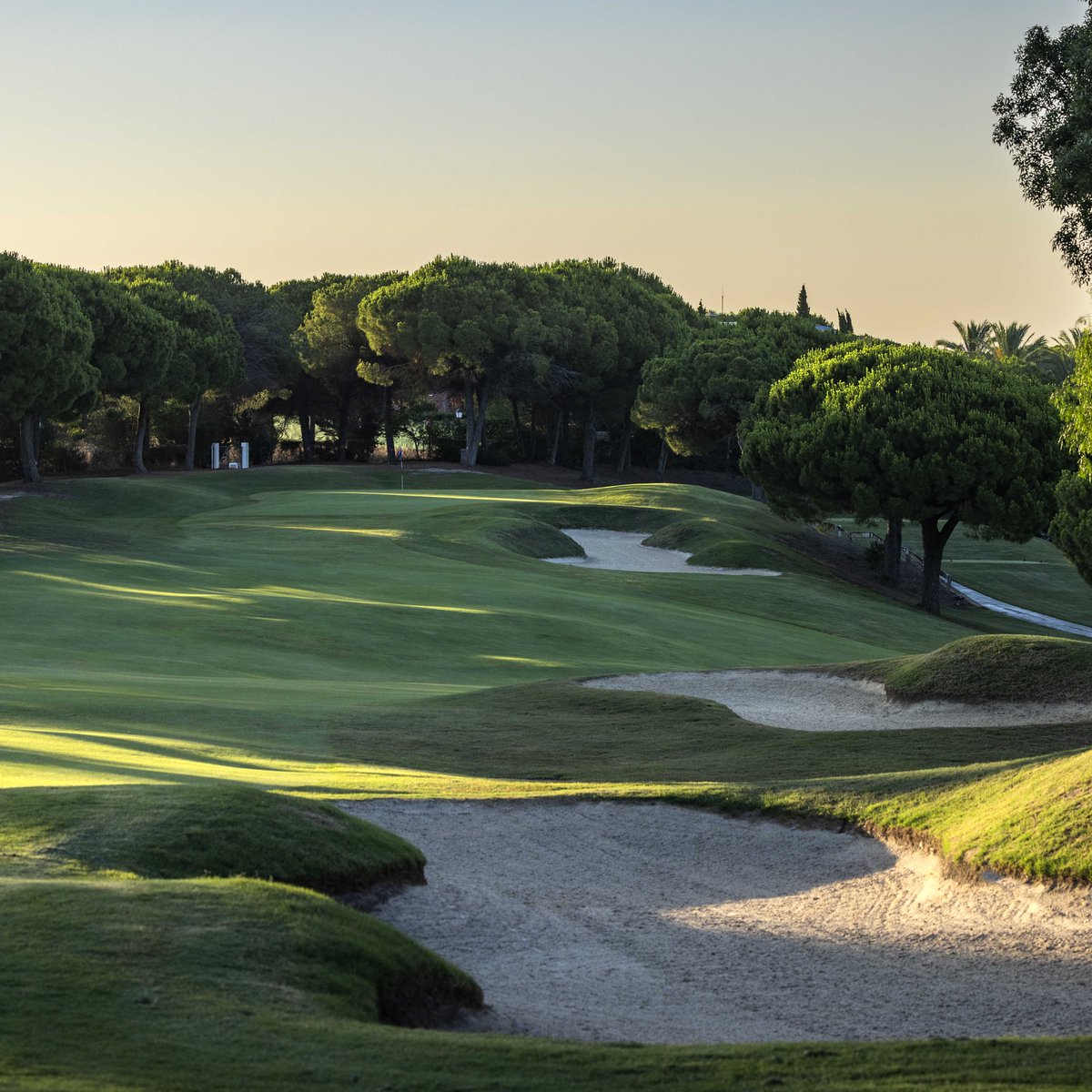 Sotogrande_'s tweet photo. Almenara Golf Club in Sotogrande, Spain, offers a stunning golfing experience with its 18-hole layout designed by British architect, Dave Thomas. Located next to Los Alcornocales natural park, @almenaragolf is the ideal place to enjoy a round of golf surrounded by nature. https://t.co/vRcA2hEilO