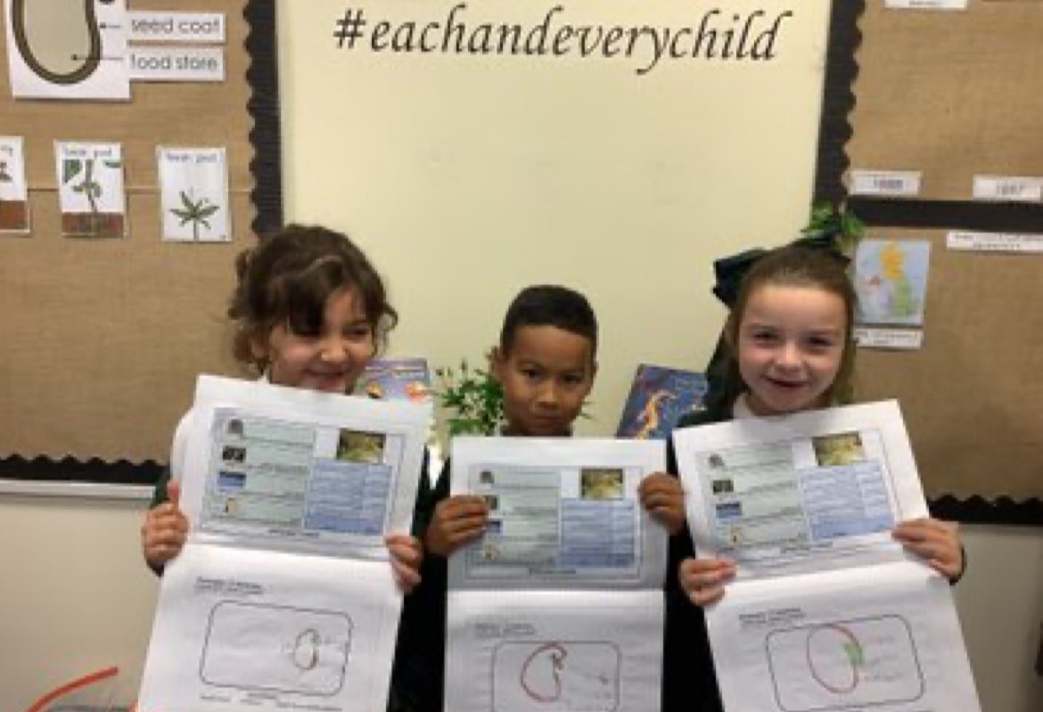 Rainbow Education MAT tweet media