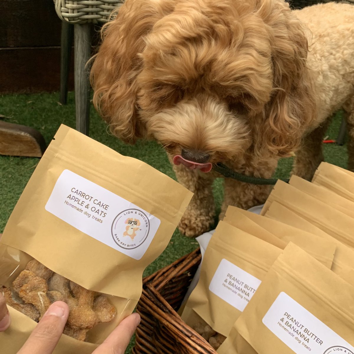 The lion &amp; unicorn bark-ery is open!👩‍🍳 Pop by and buy your furry best friends some dog treats, they’re tried and tested by our regulars!🐶

Treat bags are £3.50 and all proceeds go towards @dogsforgood_uk