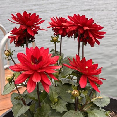 jp7394's tweet photo. #NewProfilePic https://t.co/gcVHoln3NS