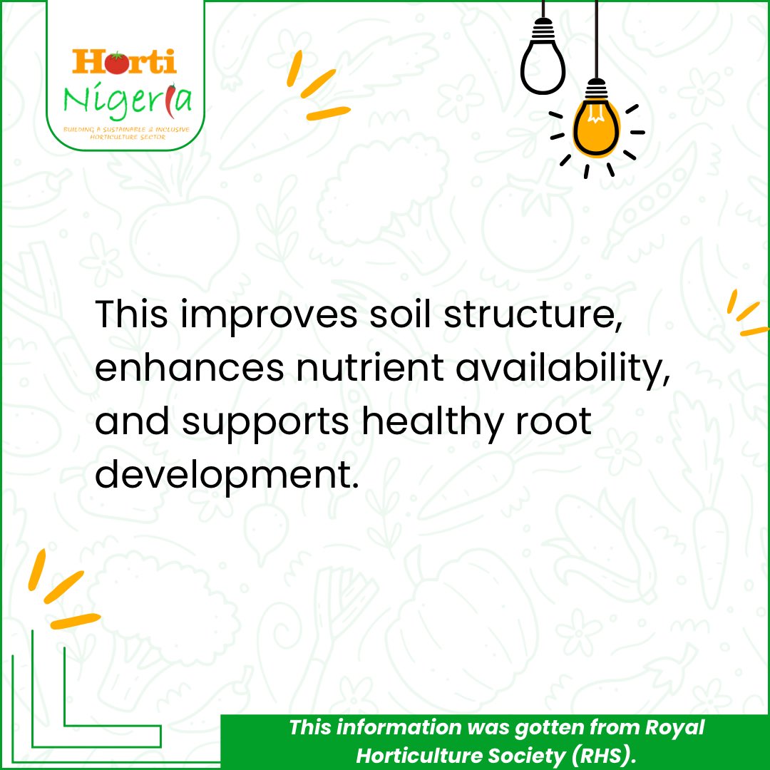 HortiNigeria's tweet photo. On today’s Episode of vegetable farming tips, here’s what to do to prepare your soil for planting.

Are there any other tips you know? Share in the comment section.

#VegetableFarmingTips #HortiNigeria #SoilPreparations #Horticulture https://t.co/bcW2j6nABB