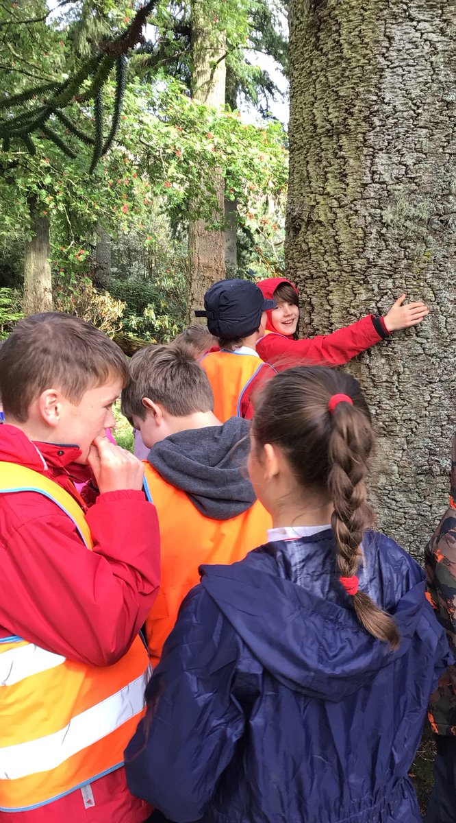 StronePrimary's tweet photo. On Monday the children visited Benmore as part of the Benmore Schools' Week .The P1-P3  workshop used their senses to find out the secrets  of the trees.  Our P5-P7s explored different ways of experiencing their habitat and practiced creative mapping techniques. https://t.co/uizJkZhwK4