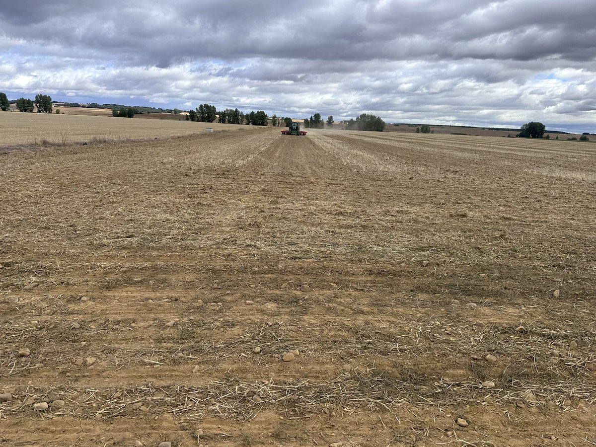 Un Agricultor en ciernes tweet media