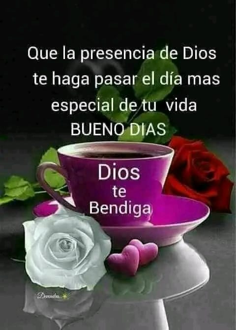 Excelente y bendecido día ✨🙏🏽❤️💯