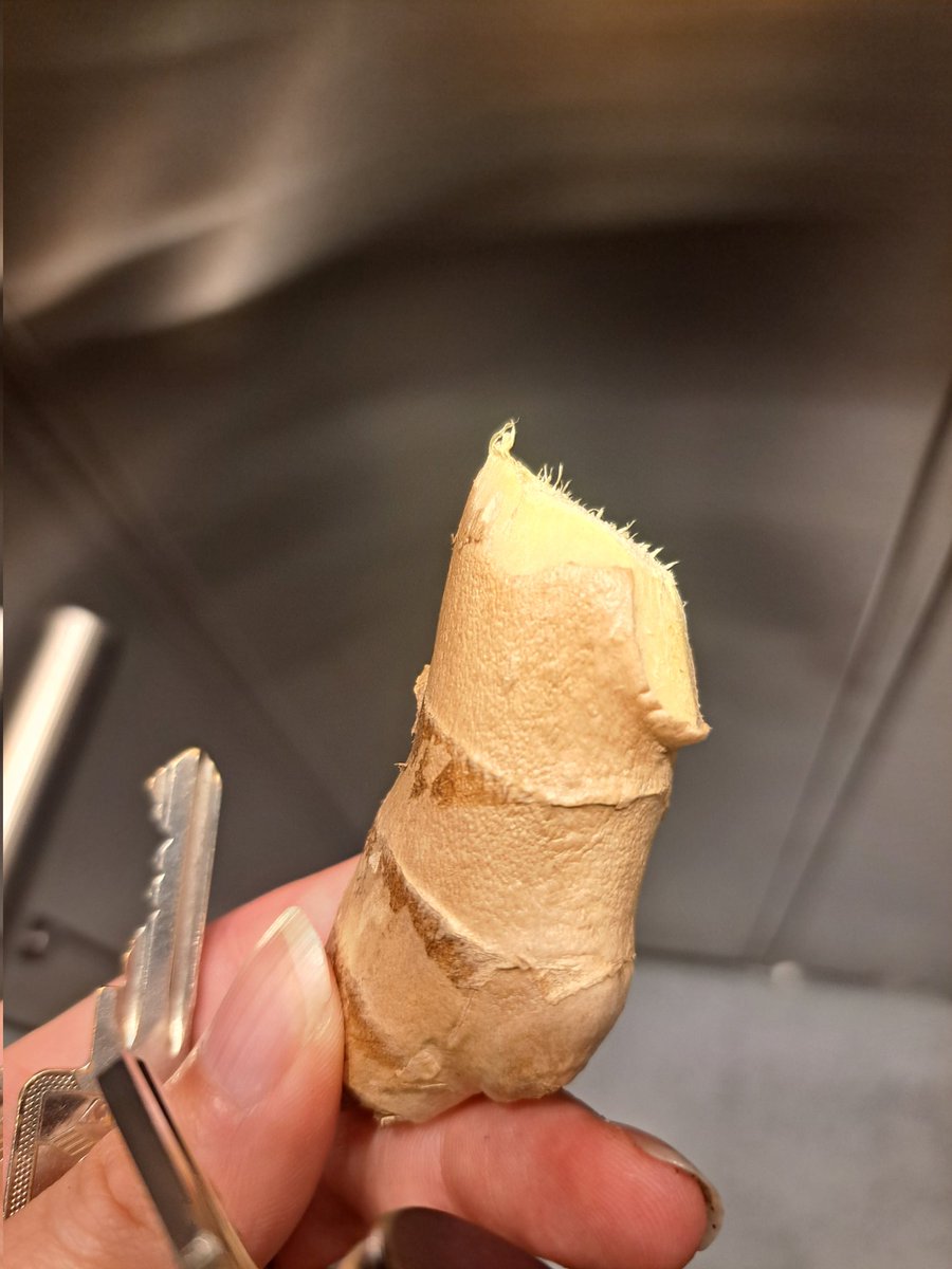 Leiter der Teeabteilung schreibt mir eine E-Mail:

"Wenn wir eine Zweigstelle in Bergheim hätten und alle Dienstwagen dort anmelden würden, könnten wir BM - TH als Kennzeichen haben...!! MURDER!!"

Außerdem hat er mir gestern ein Stück Ingwer in die Hand gedrückt..