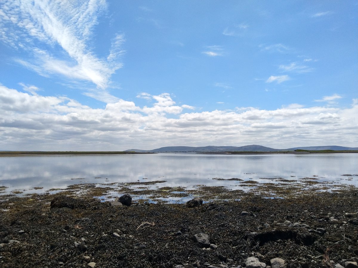🌍 Did you know that Galway Bay is a Natura 2000 site? 

Natura 2000 protects our planet's most valuable habitats and species, helping to ensure their long-term survival. 🦞

Cuan Beo's work provides essential ecosystem services, environmental education, and informs policy. 🦆