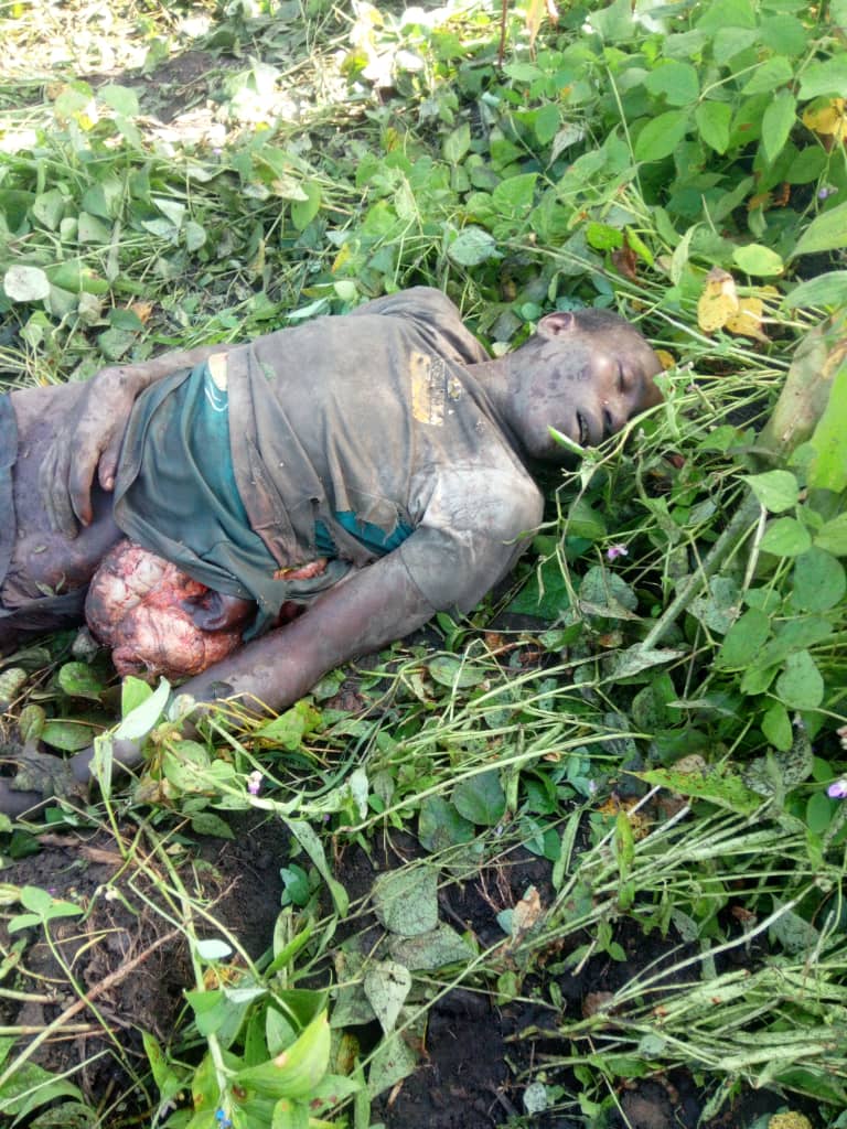 Acholi has been reduced to nothing, more of a laughing stock, the elephant are killing our people day and night and nothing done about it. It' Tru the government of Uganda value animals more than human being .
This incident happened in Namukora, kitgum district
<a href="/AnitahAmong/">Anita Annet Among</a>