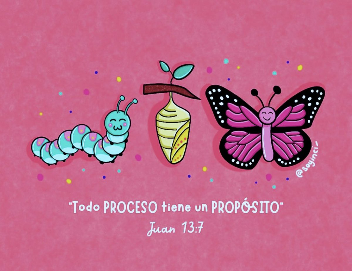 🦋✨