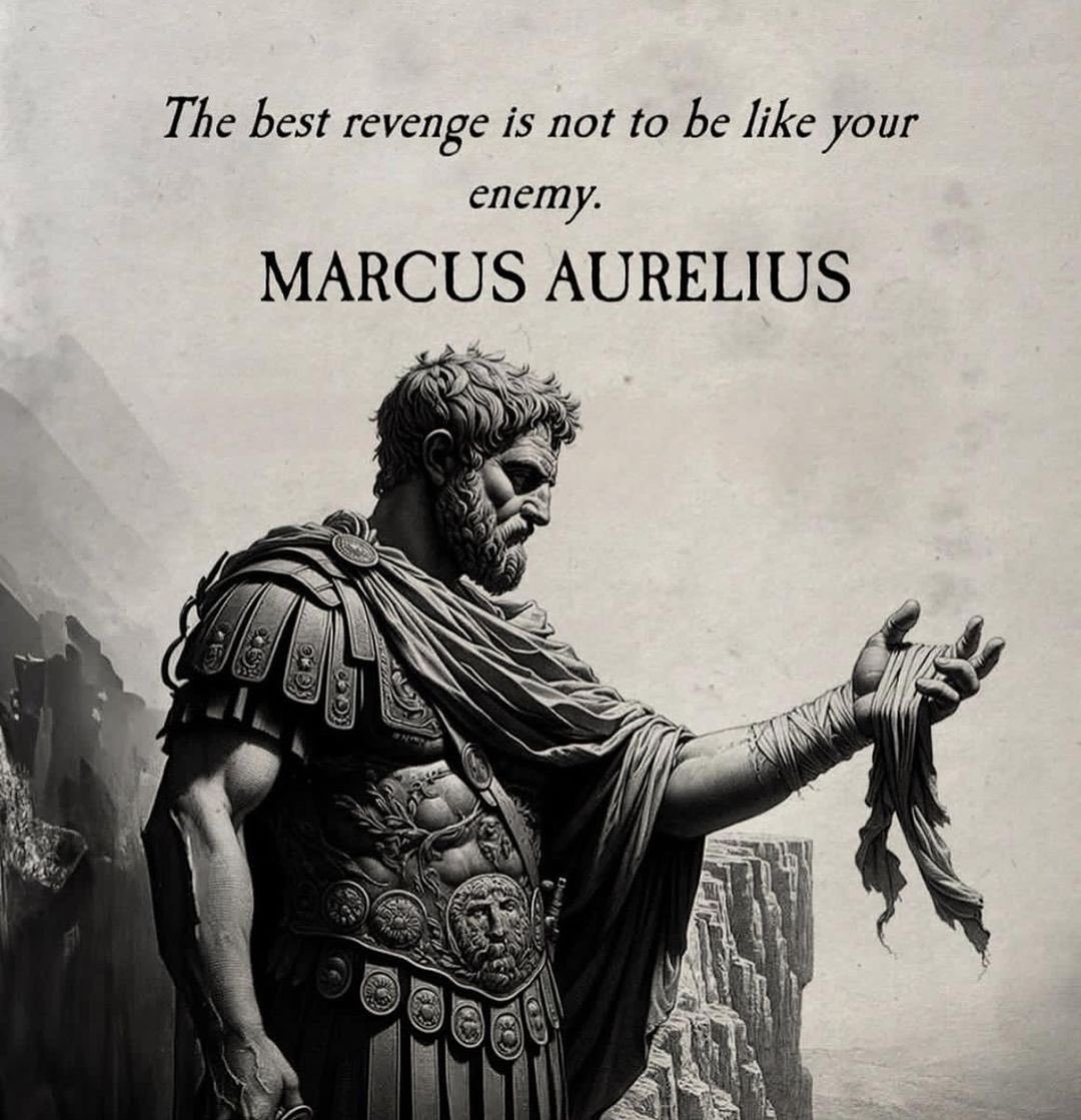 Kyngqush's tweet image. #Scopenhauer #MarcusAurelius #Feliz11DeSeptiembre #FigaroAbrego #LE_SSERAFIMatVMAs #Ibrahimovic #imolenization