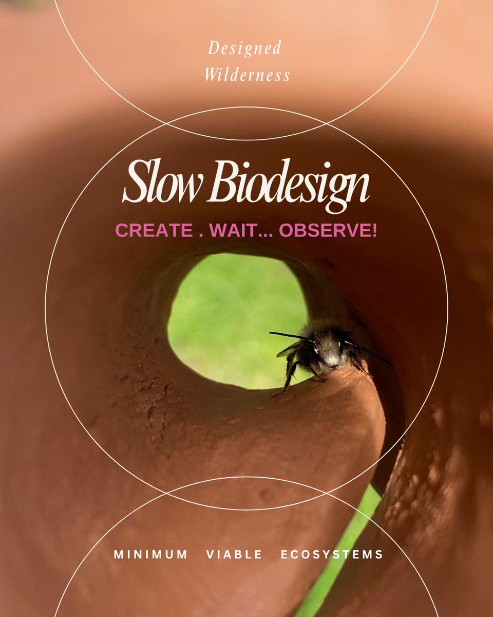 Barbara Pollini tweet media