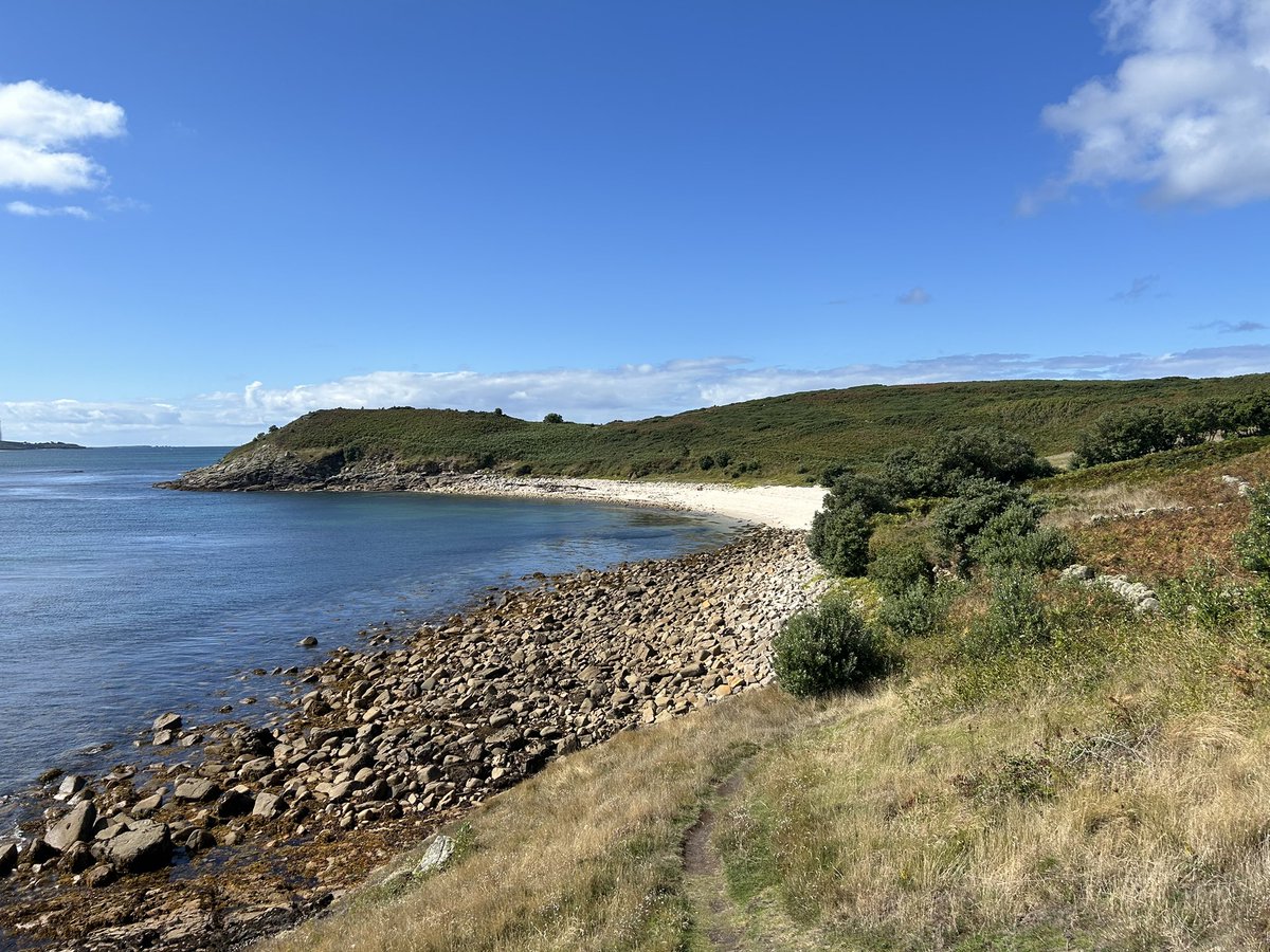 Amazing to have bays like this to ourselves with only wryneck, whinchats and wheatears for company