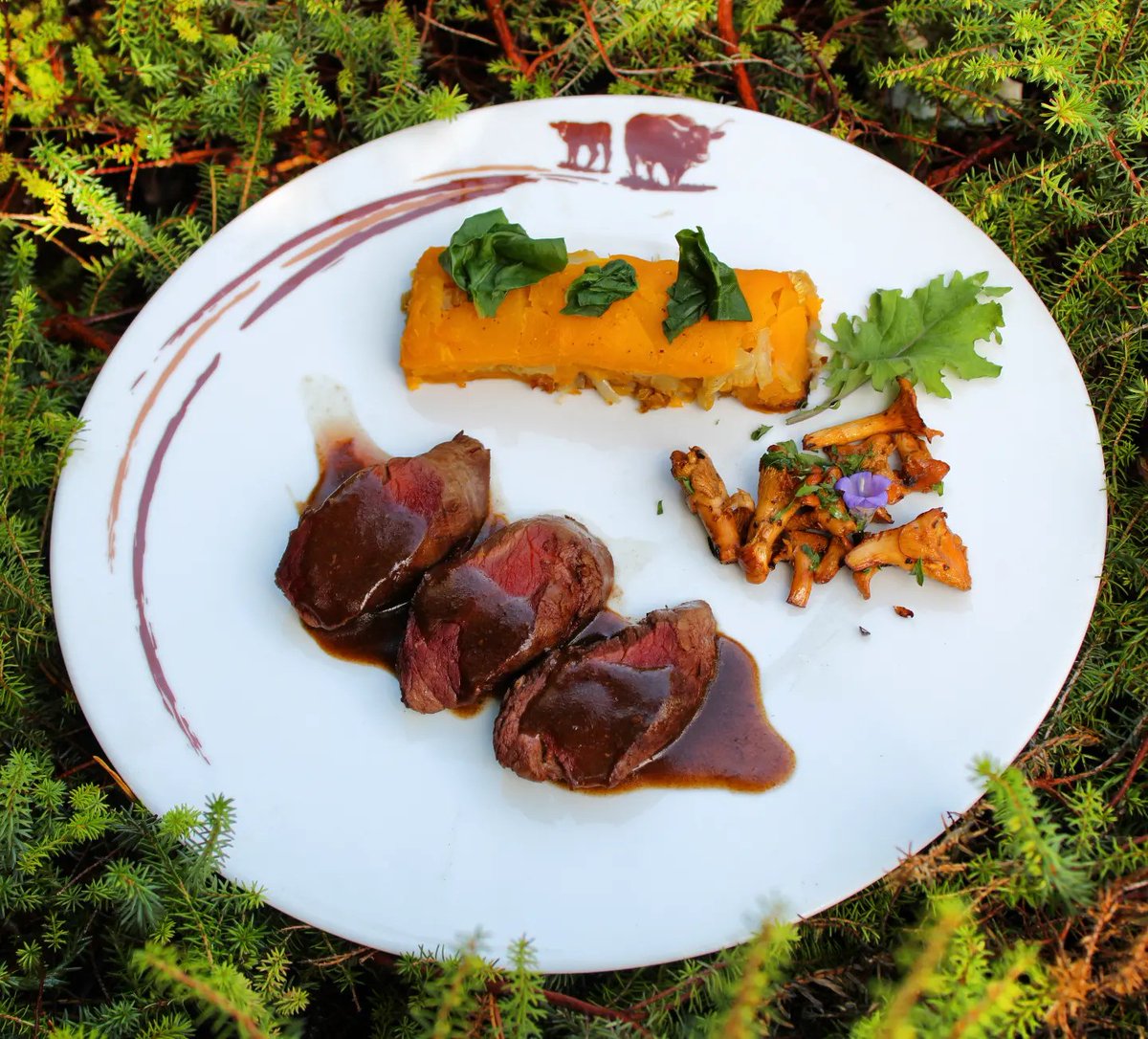 Retrouvez dès samedi notre nouveau menu de Saison et la carte d'automne avec 7 recettes inédites !

Pour les plus impatients, voici en direct notre Sanglier du pays de Pierrefort, girolles et ail noir de Billom, pressé de butternut et blettes.

Réservation au 0471407195