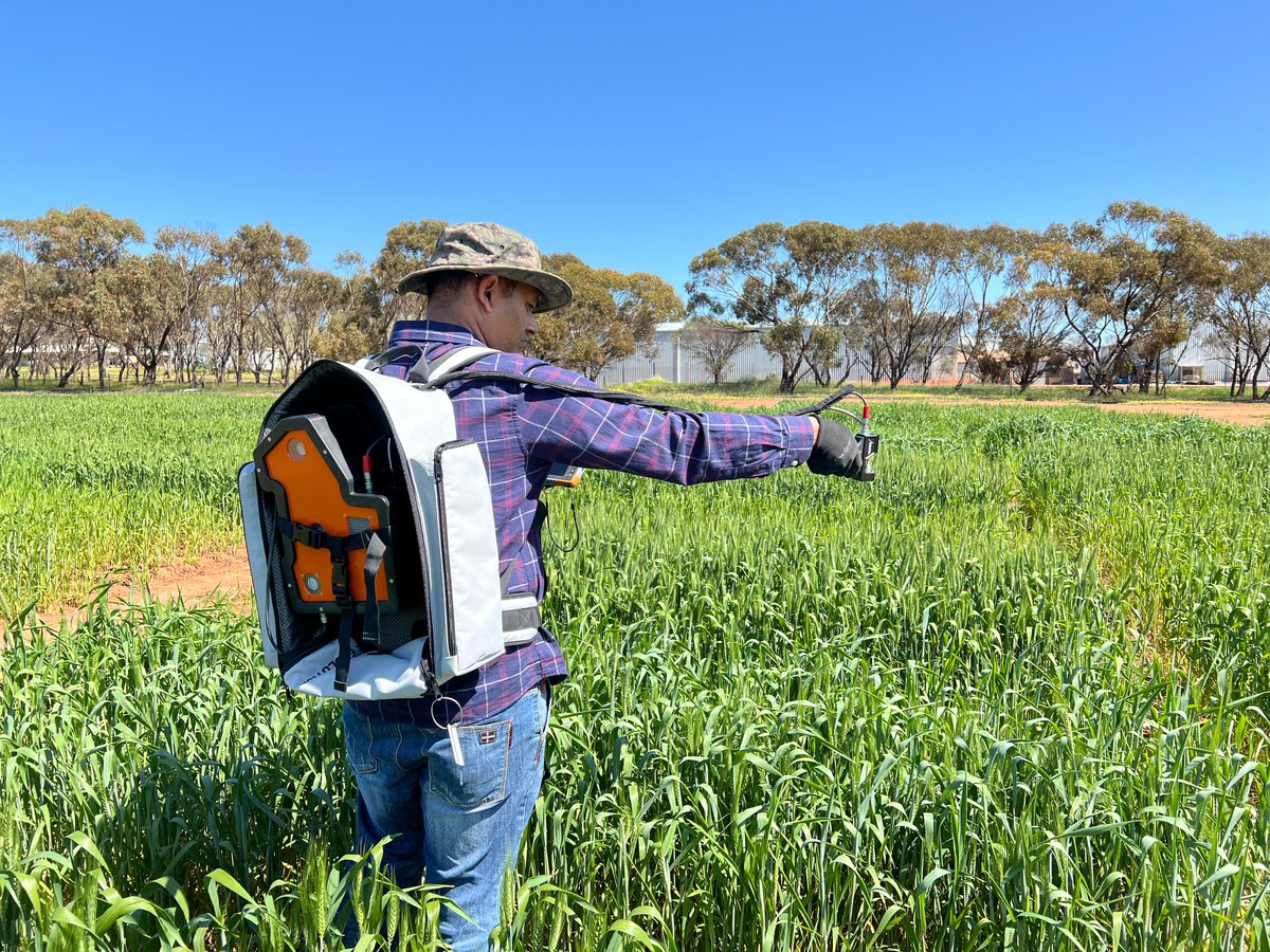 NasirIqbal54's tweet photo. Exciting progress in our nitrogen use efficiency project in collaboration with Murdoch, UWA, and AGT to estimate NUE in wheat using hyperspectral reflectance @DPIRDWA .
#NUE #hyperspec #DPIRD https://t.co/HAcE2Dyeyr