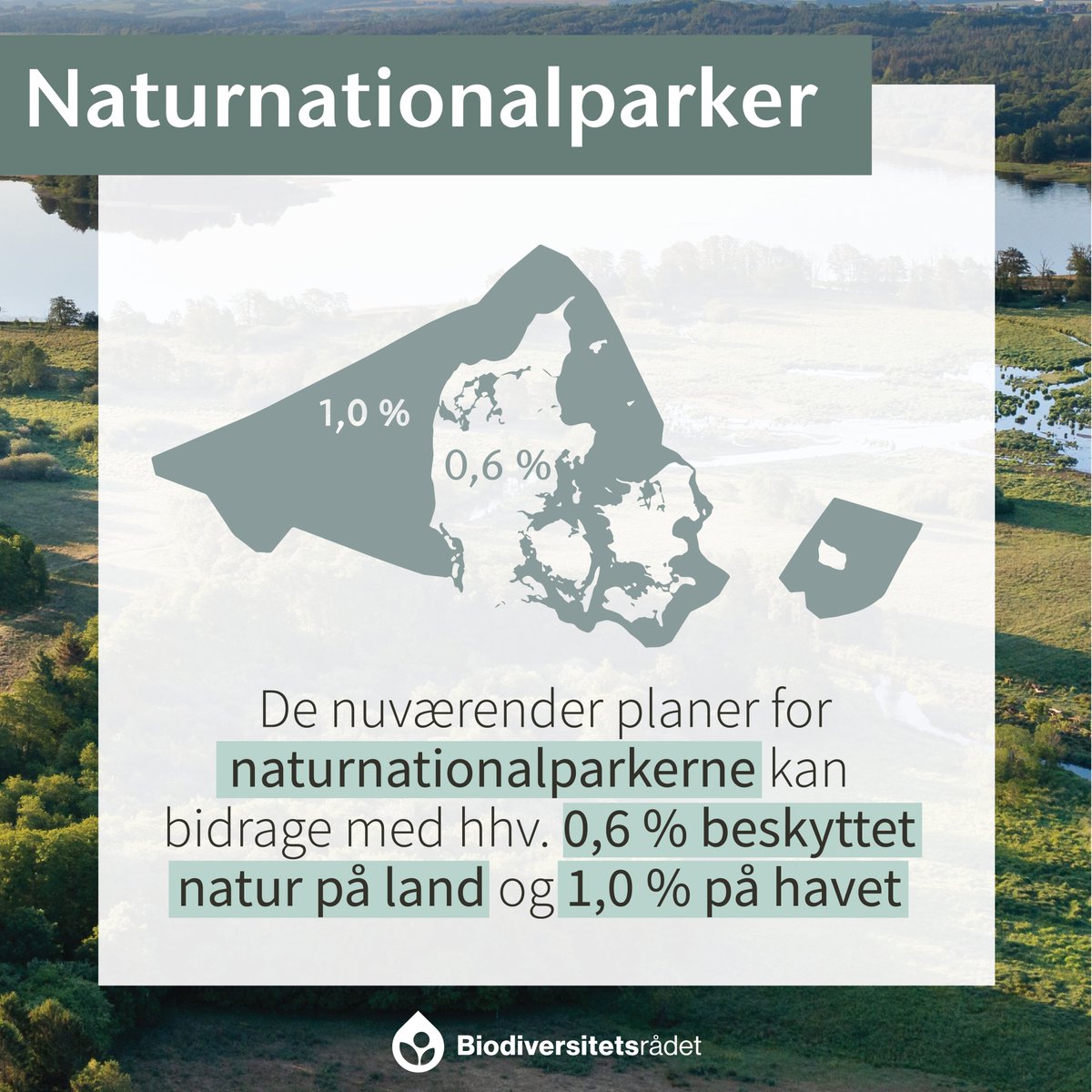 Biodiversitetsrådet vurderer, at #naturnationalparker er et egnet #virkemiddel, der kan bidrage positivt til beskyttelse og genoprettelse af #biodiversiteten. Læs mere om etablering af naturnationalparker: biodiversitetsraadet.dk/virkemiddelkat… #dkgreen #dkpol