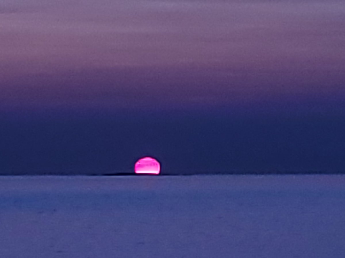 Fred Fahey tweet media