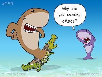 Stingrayvilla's tweet image. "Need a mid-week pick-me-up? Let's talk about Crocs! Love 'em or hate 'em, they always bring a smile... even if it's just for the laughs 😄🐊 
.
.
#MidweekHumor #CrocsForLife #SmileWithCrocs #ComfortOverEverything #JustForLaughs #WhoNeedsHeels #FootwearFun #CrocsCraze"