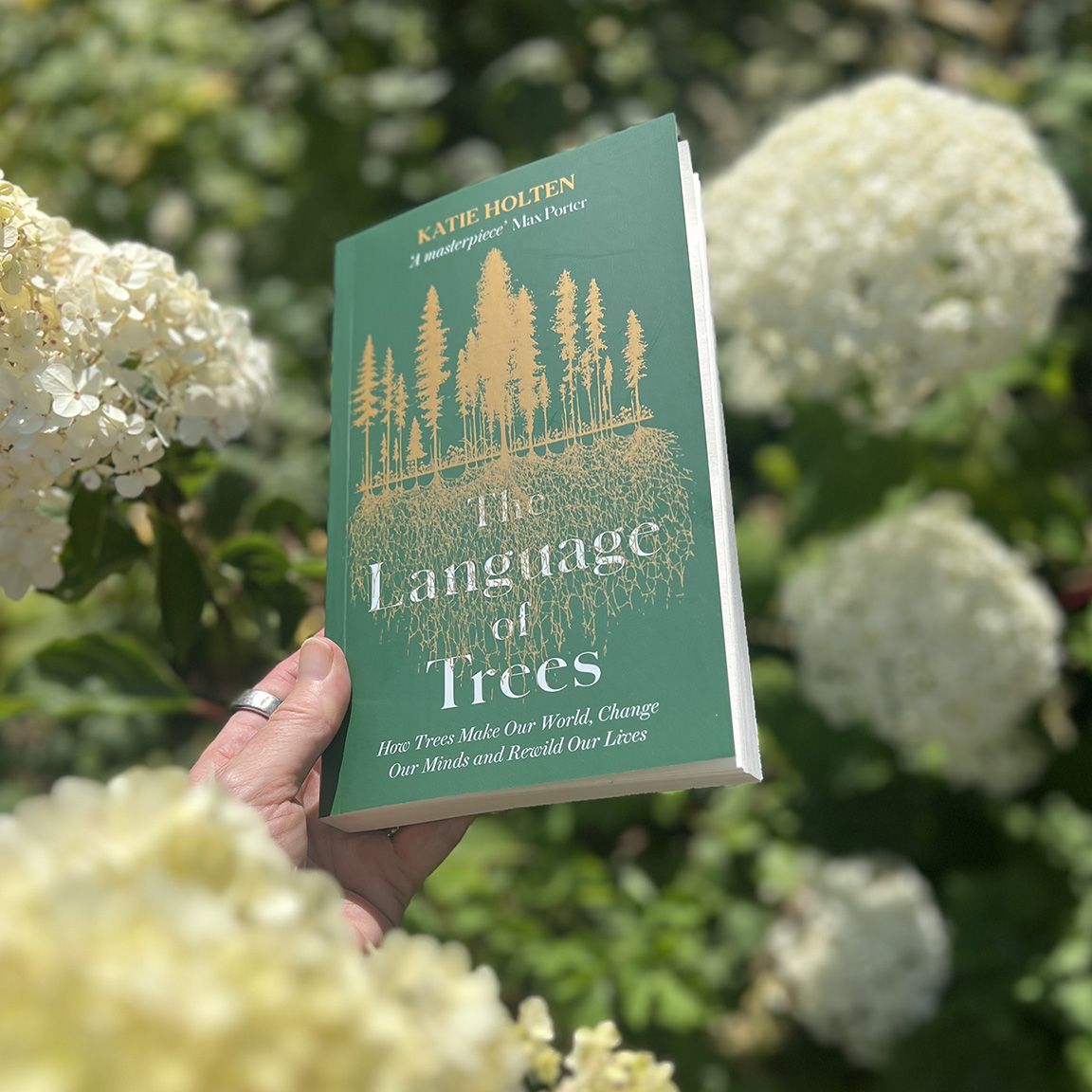 katieholten's tweet photo. Today is the day! The paperback edition of THE LANGUAGE OF TREES is now available in the UK and Ireland. Still beautiful, but happily floppy and more affordable. https://t.co/BqjWU0F20q