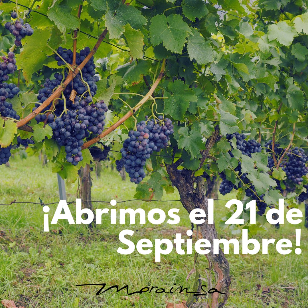 ¡COMIENZA LA CAMPAÑA DE LA UVA!🍇

Desde el sábado 21 de Septiembre tendremos abierta nuestra bodega.

¡Os esperamos!😉