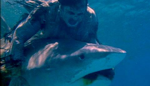 GOREZONE tweet media