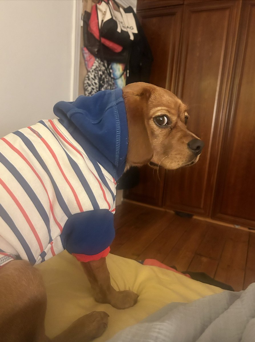 We weren’t even doing it to be cute, we just thought she might be getting cold at night.

Nevertheless, she was furious