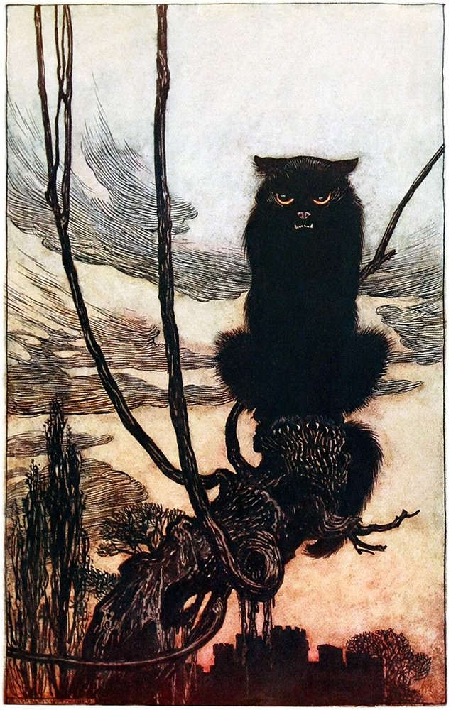 In medieval times, there was a belief that when unmarried women died, their souls turned into black cats.

As a spinster, all I can say is…this makes my day. #FolkloreThursday
