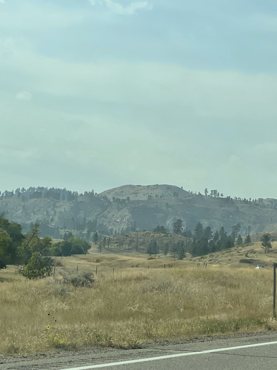 Duncan Shriek tweet media