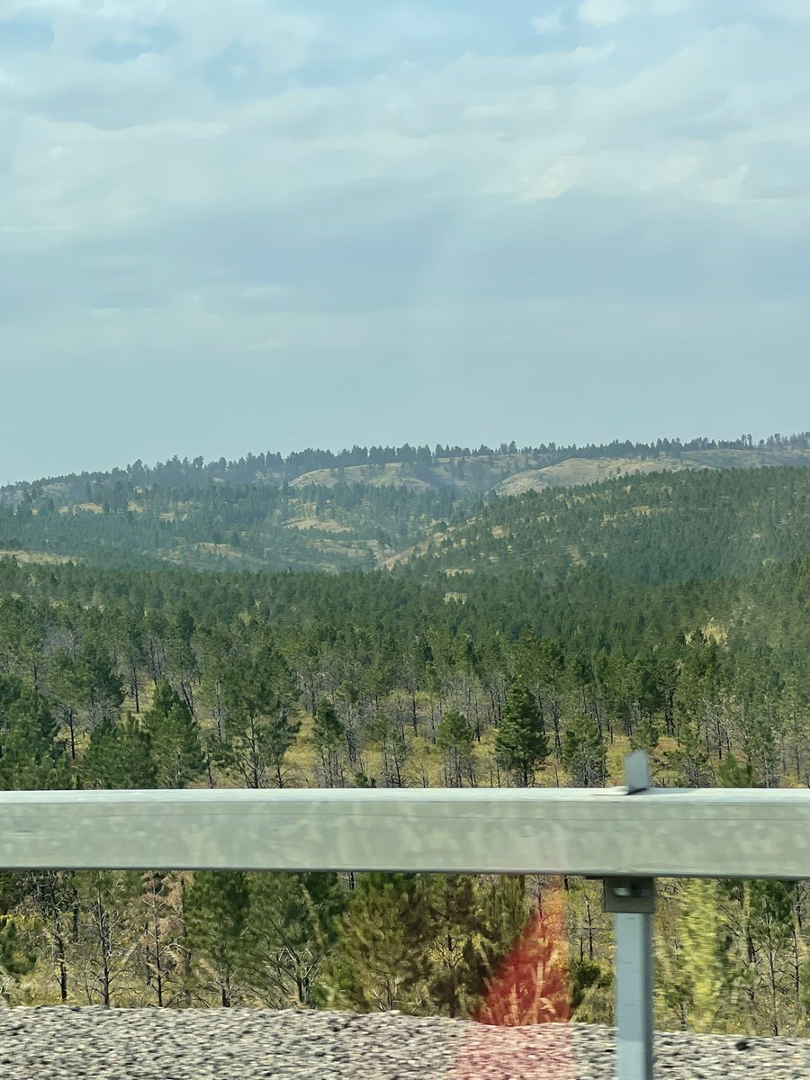 Duncan Shriek tweet media