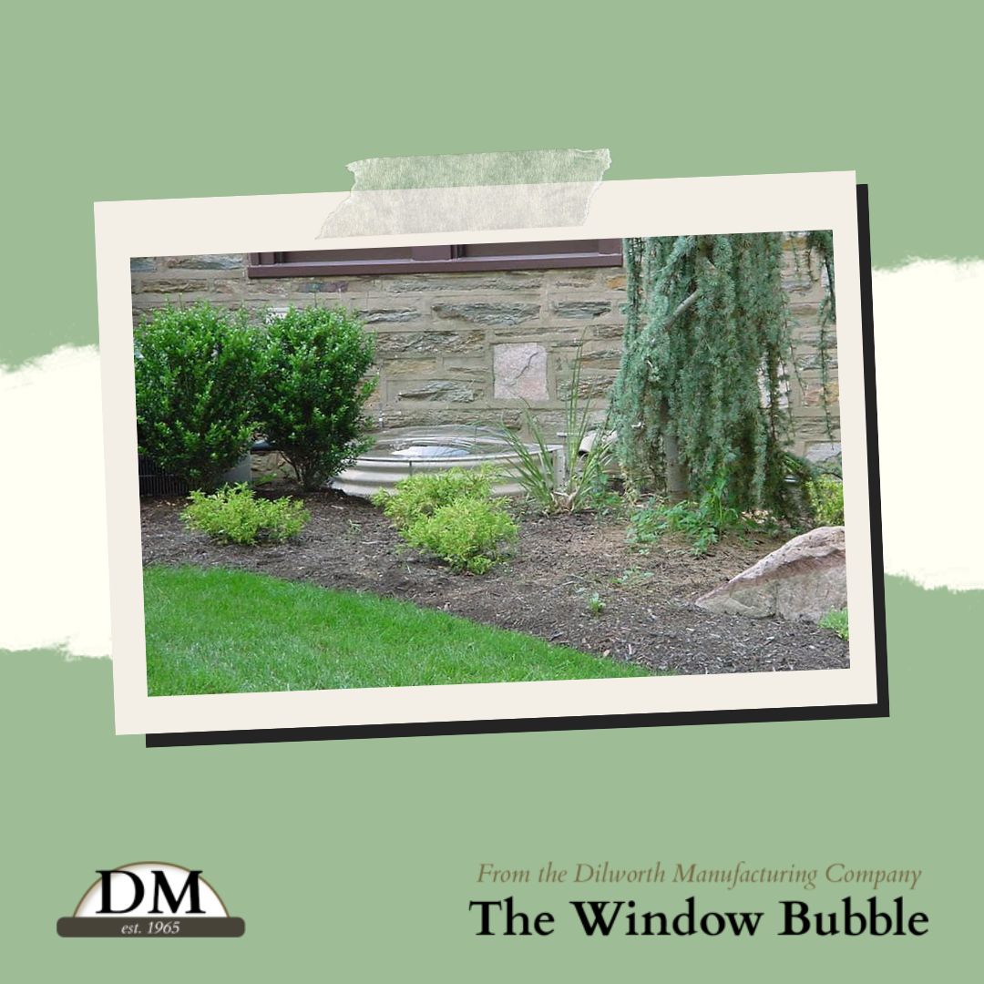 windowbubble's tweet image. We are the window well experts! Window Bubble is the most experienced manufacturer of window well covers on the market today. Learn more about our product and get a FREE quote today! windowbubble.com 

#windowwellcovers