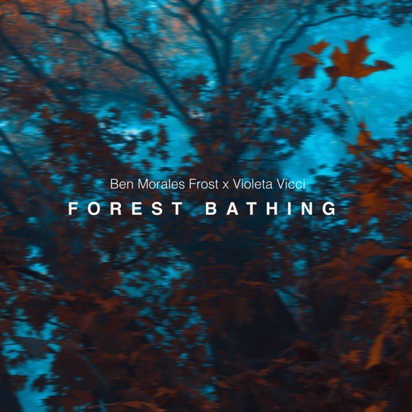 bucksmusicgroup's tweet photo. "Forest Bathing" from Ben Morales Frost + @VioletaVicci is out now 🌳
https://t.co/wLbOE3zpeL https://t.co/f0c0lwUze4